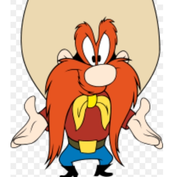 Meet your Posher, Nicole - Picture 3 of 4